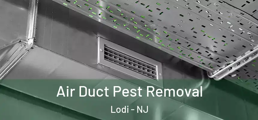  Air Duct Pest Removal Lodi - NJ