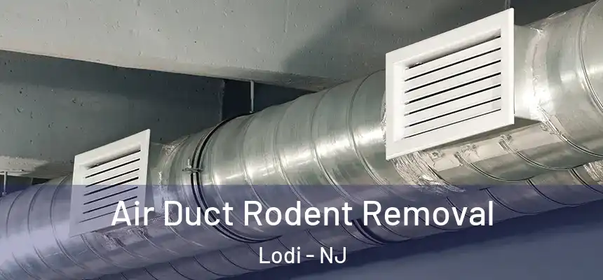 Air Duct Rodent Removal Lodi - NJ