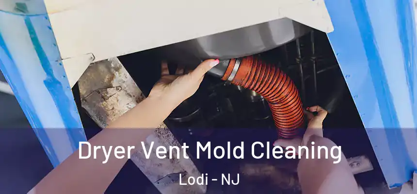  Dryer Vent Mold Cleaning Lodi - NJ
