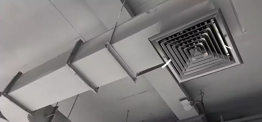 Restorative Allergy Relief Vent Cleaning – Coil, Blower & Housing Detail in Lodi