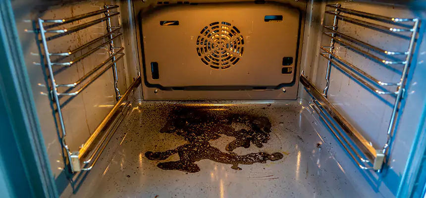 Our Dryer Vent Mold Cleaning Services in Lodi, NJ