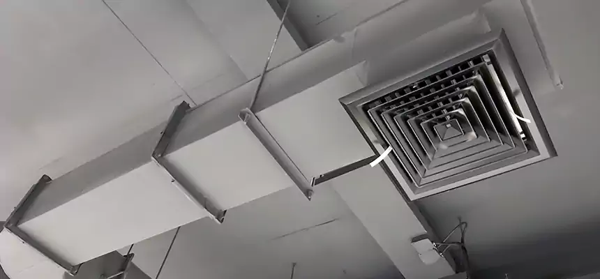 Our Pest Removal From Ducts Services in Lodi, NJ