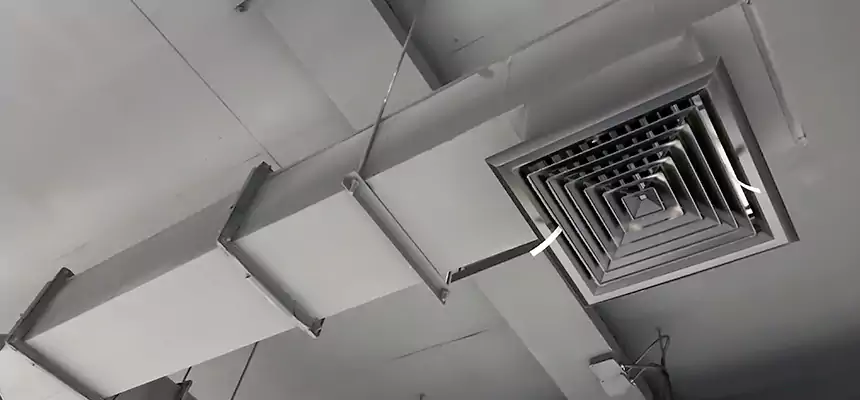 Our Rodent Droppings In Vents Services in Lodi, NJ