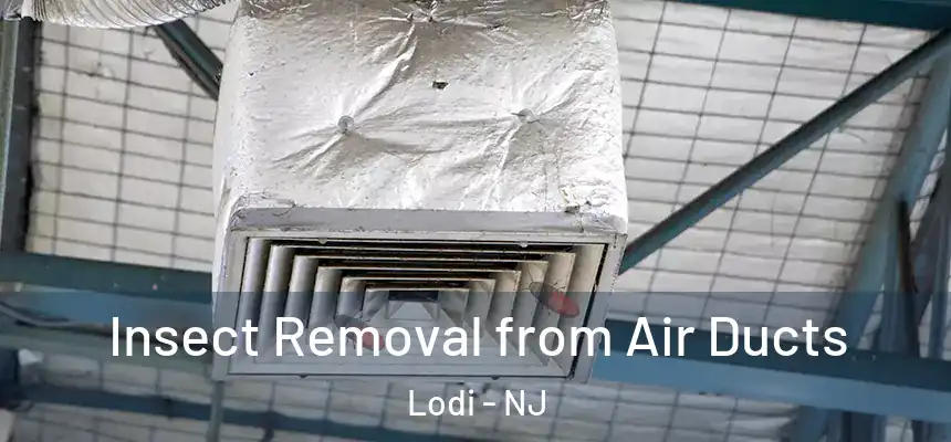 Insect Removal from Air Ducts Lodi - NJ
