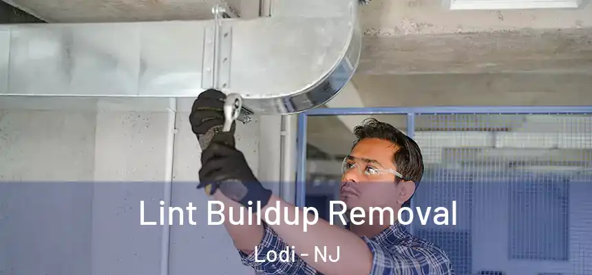 Lint Buildup Removal Lodi - NJ