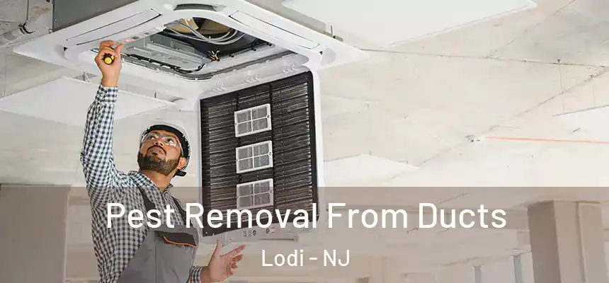 Pest Removal From Ducts Lodi - NJ