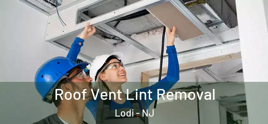  Roof Vent Lint Removal Lodi - NJ