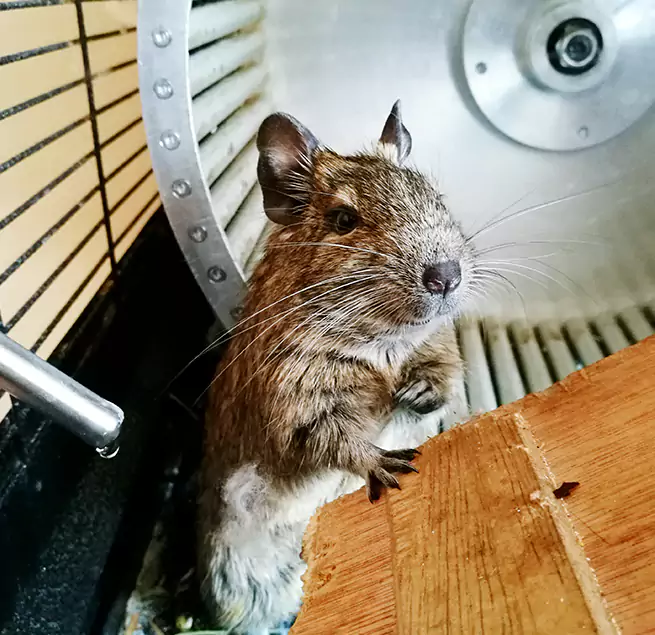 Why Homeowners & Businesses Trust Us Lodi, NJ